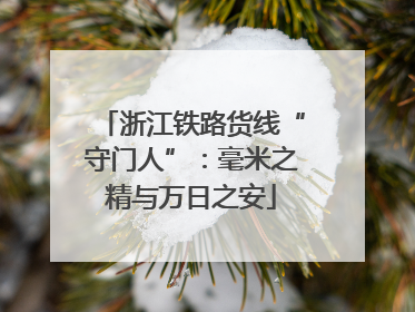 浙江铁路货线“守门人”：毫米之精与万日之安