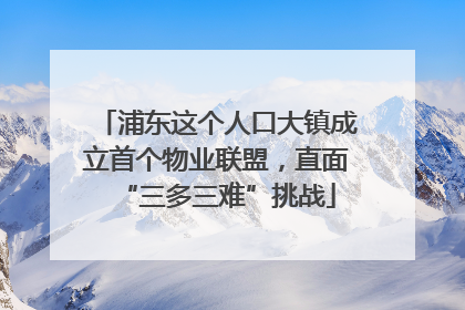 浦东这个人口大镇成立首个物业联盟，直面“三多三难”挑战