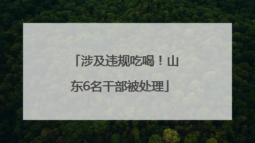 涉及违规吃喝！山东6名干部被处理
