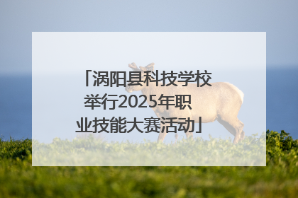 涡阳县科技学校举行2025年职业技能大赛活动