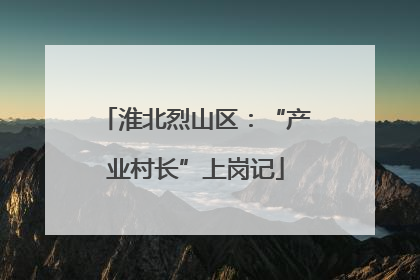 淮北烈山区：“产业村长”上岗记