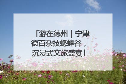 游在德州｜宁津德百杂技蟋蟀谷，沉浸式文旅盛宴