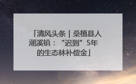 清风头条｜桑植县人潮溪镇：“迟到”5年的生态林补偿金