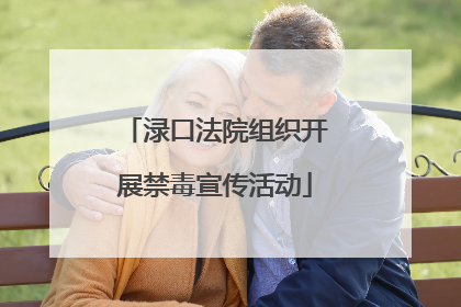 渌口法院组织开展禁毒宣传活动