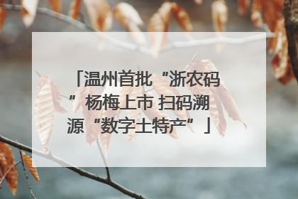 温州首批“浙农码”杨梅上市 扫码溯源“数字土特产”