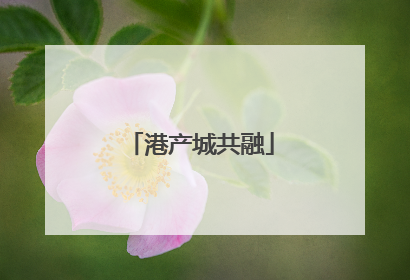 港产城共融
