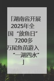 湖南省开展2025年全国“放鱼日” 7200多万尾鱼苗游入“一湖四水”