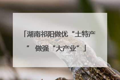 湖南祁阳做优“土特产” 做强“大产业”