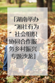 湖南举办“湘社有为”社会组织协同合作服务乡村振兴专题沙龙