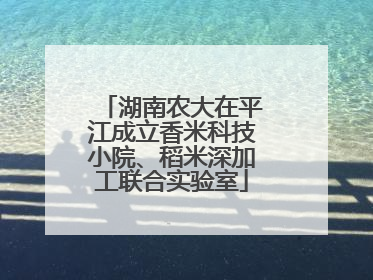湖南农大在平江成立香米科技小院、稻米深加工联合实验室