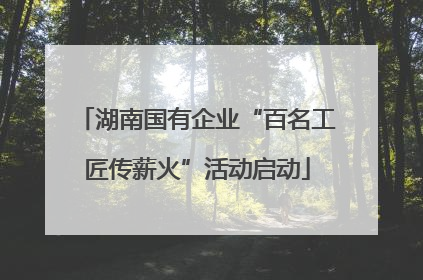 湖南国有企业“百名工匠传薪火”活动启动