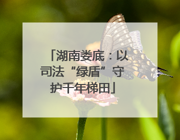 湖南娄底：以司法“绿盾”守护千年梯田