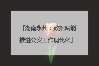 湖南永州：数据赋能推进公安工作现代化