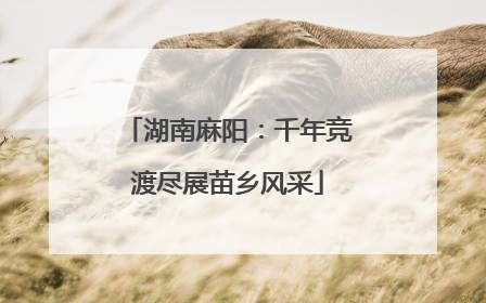 湖南麻阳：千年竞渡尽展苗乡风采