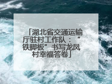 湖北省交通运输厅驻村工作队：“铁脚板”书写龙凤村幸福答卷