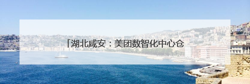 湖北咸安：美团数智化中心仓等4个现代服务业项目签约