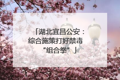 湖北宜昌公安：综合施策打好禁毒“组合拳”