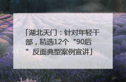 湖北天门：针对年轻干部，精选12个“90后”反面典型案例宣讲