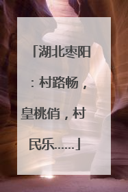 湖北枣阳：村路畅，皇桃俏，村民乐……
