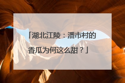 湖北江陵：潘市村的香瓜为何这么甜？