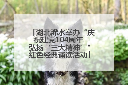 湖北浠水举办“庆祝建党104周年 弘扬‘三大精神’”红色经典诵读活动