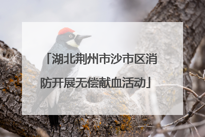 湖北荆州市沙市区消防开展无偿献血活动