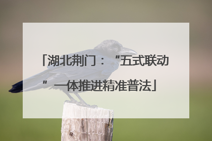 湖北荆门：“五式联动”一体推进精准普法