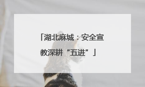 湖北麻城：安全宣教深耕“五进”