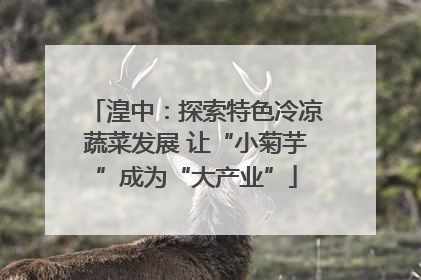 湟中：探索特色冷凉蔬菜发展 让“小菊芋”成为“大产业”