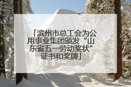 滨州市总工会为公用事业集团颁发“山东省五一劳动奖状”证书和奖牌