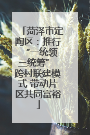 菏泽市定陶区：推行“一统领 三统筹” 跨村联建模式 带动片区共同富裕