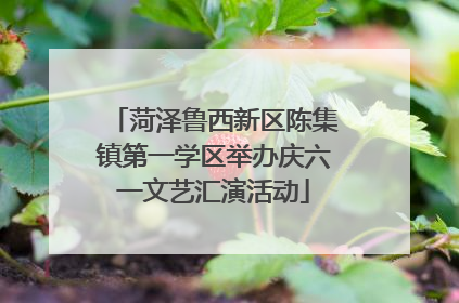 菏泽鲁西新区陈集镇第一学区举办庆六一文艺汇演活动