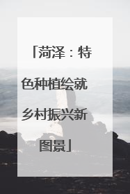 菏泽：特色种植绘就乡村振兴新图景