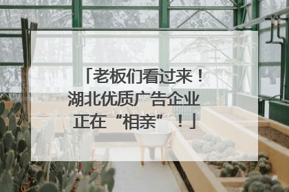 老板们看过来！湖北优质广告企业正在“相亲”！