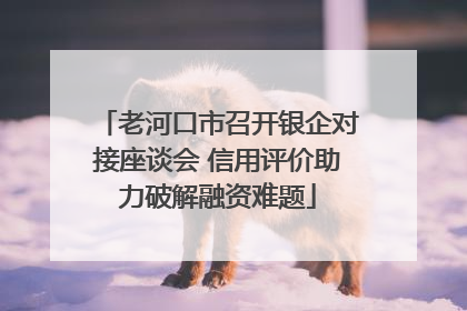 老河口市召开银企对接座谈会 信用评价助力破解融资难题