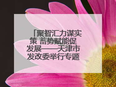 聚智汇力谋实策 蓄势赋能促发展——天津市发改委举行专题培训研讨活动