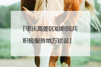 肇庆高要区组织民兵积极服务地方建设