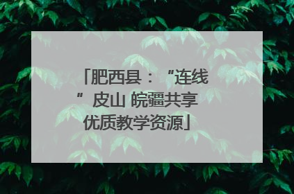 肥西县：“连线”皮山 皖疆共享优质教学资源