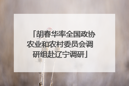 胡春华率全国政协农业和农村委员会调研组赴辽宁调研