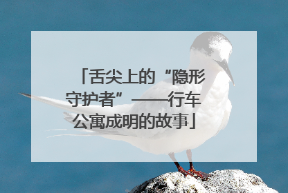 舌尖上的“隐形守护者”——行车公寓成明的故事