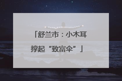 舒兰市：小木耳撑起“致富伞”