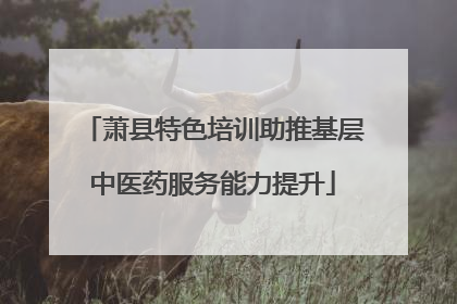 萧县特色培训助推基层中医药服务能力提升