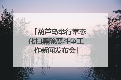 葫芦岛举行常态化扫黑除恶斗争工作新闻发布会