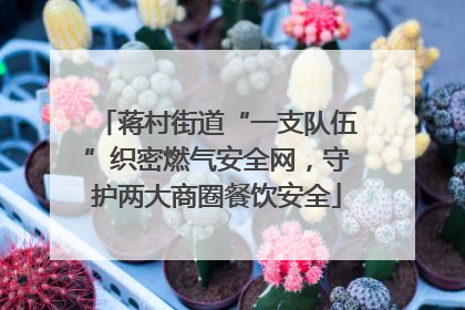 蒋村街道“一支队伍”织密燃气安全网，守护两大商圈餐饮安全