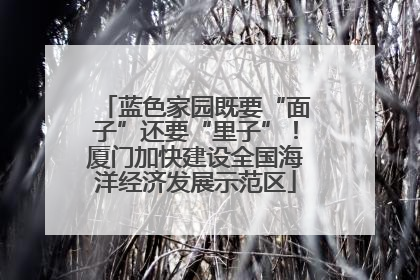 蓝色家园既要“面子”还要“里子”！厦门加快建设全国海洋经济发展示范区