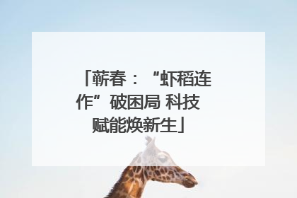 蕲春：“虾稻连作”破困局 科技赋能焕新生