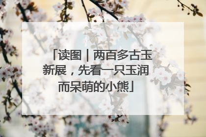 读图｜两百多古玉新展，先看一只玉润而呆萌的小熊