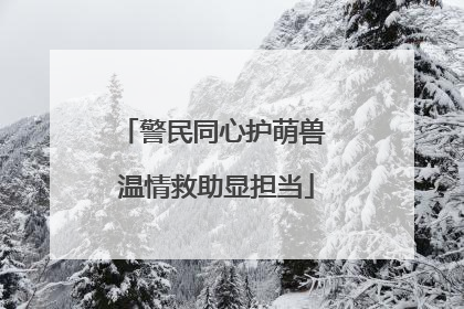 警民同心护萌兽 温情救助显担当