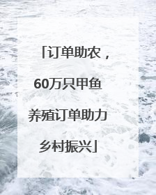 订单助农，60万只甲鱼养殖订单助力乡村振兴