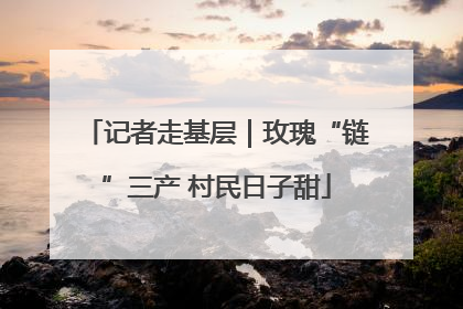记者走基层｜玫瑰“链”三产 村民日子甜